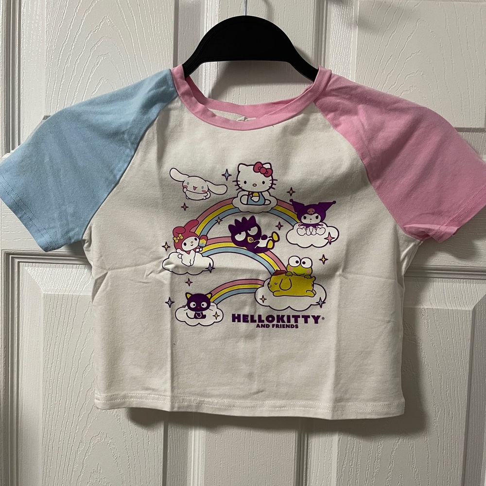 Hello Kitty and Friends Shirt